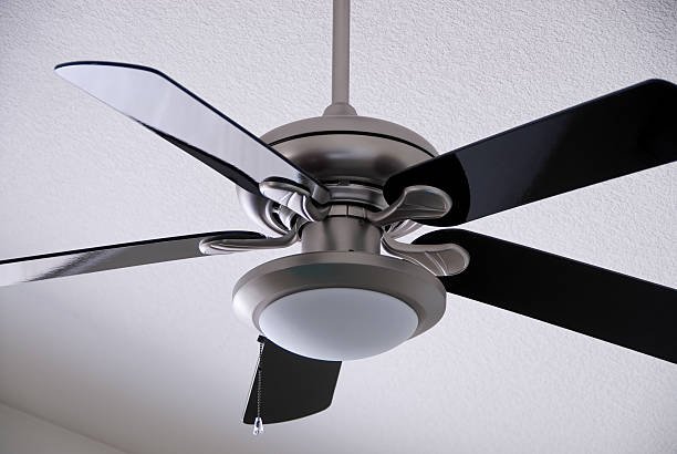 ceiling fans with lights